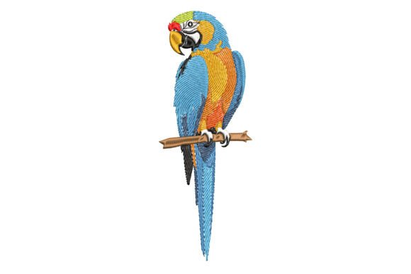Beautiful Parrot: A Designer's Real-World Review