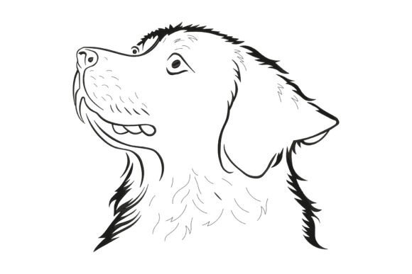 Graceful Golden Retriever Dog Review