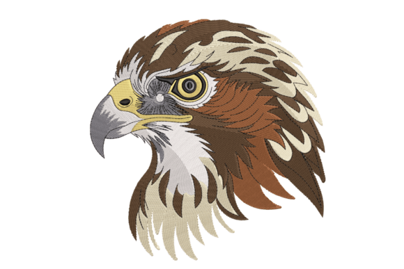 Majestic Hawk Head: A Review for Personalized Gifts
